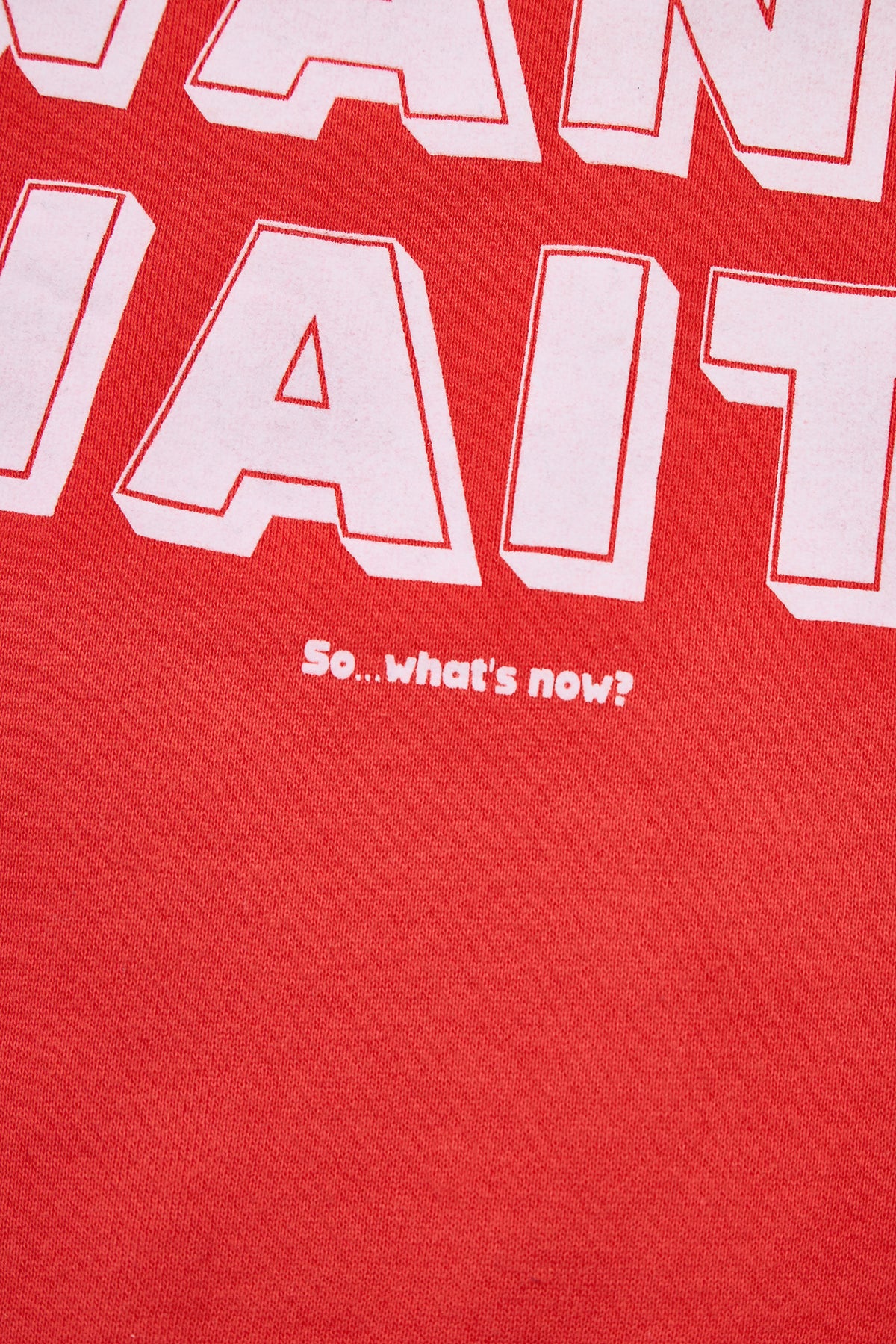 "WANT,WAIT!" 裏毛クルースウェット