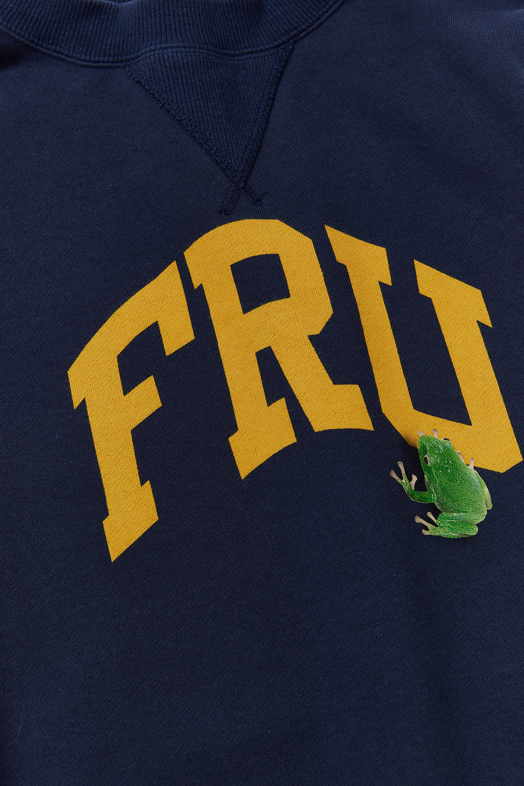 "アオガエル" 職人クルースウェット -FRU Logo ver,-