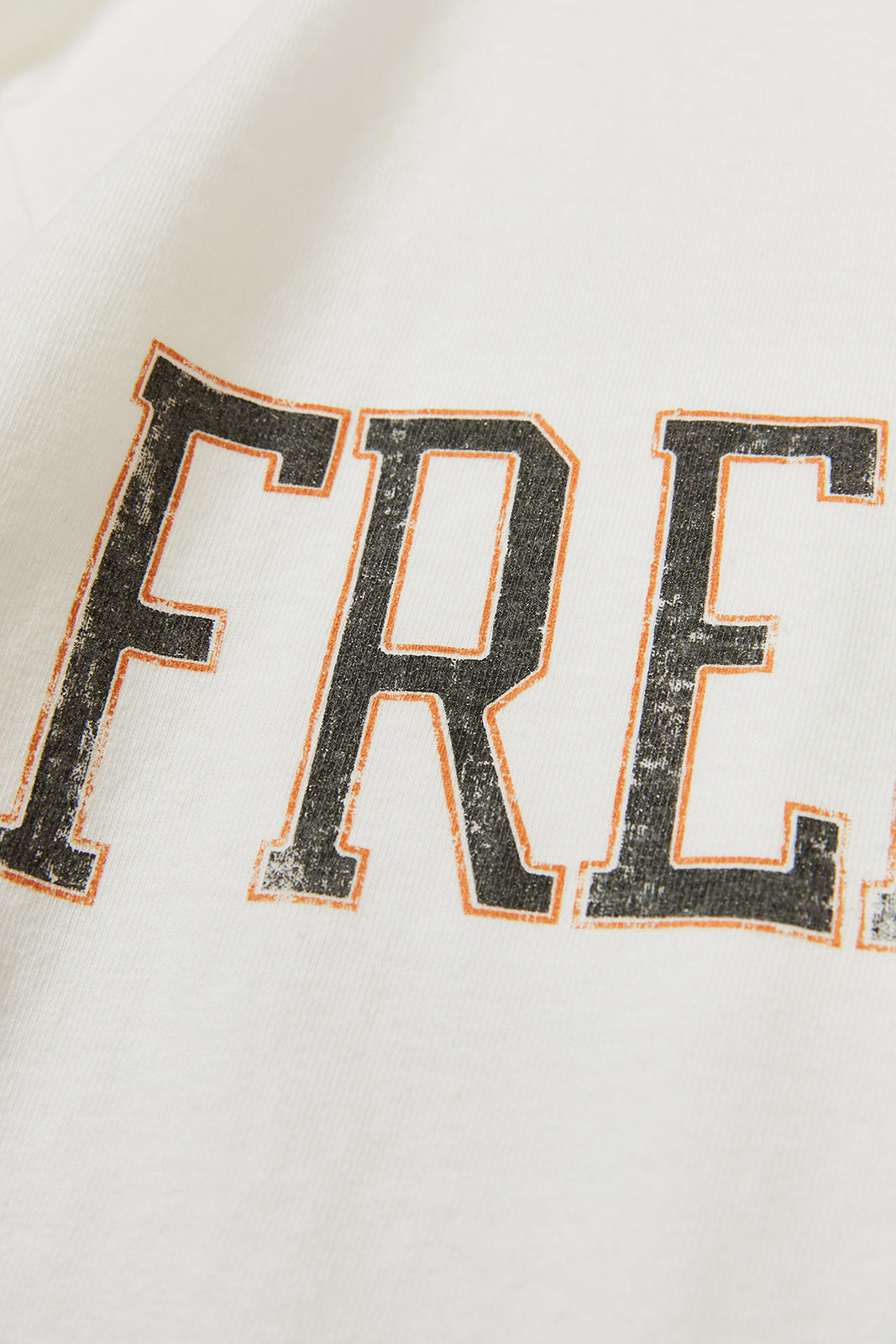 【サンプル】"FREE RAGE" ユーズドライクTee