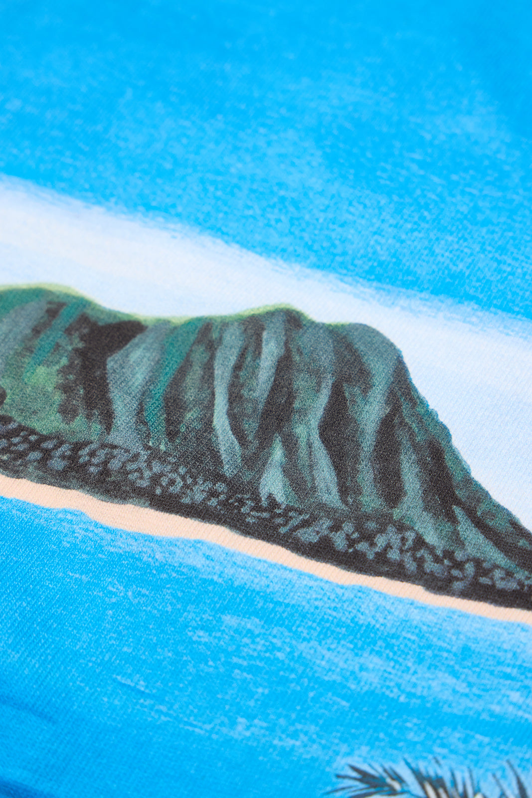 【予約商品】"ALOHA TOKYO × Lefty Art" 半袖Tee